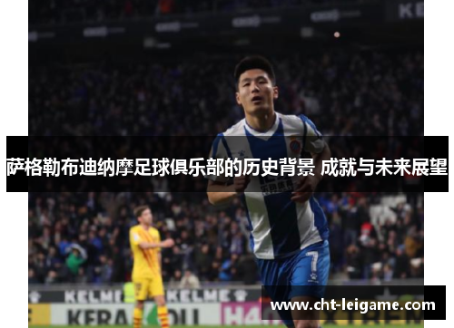 萨格勒布迪纳摩足球俱乐部的历史背景 成就与未来展望